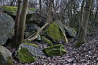 Bernhard Saalfeld - DSC05264 -1.jpg